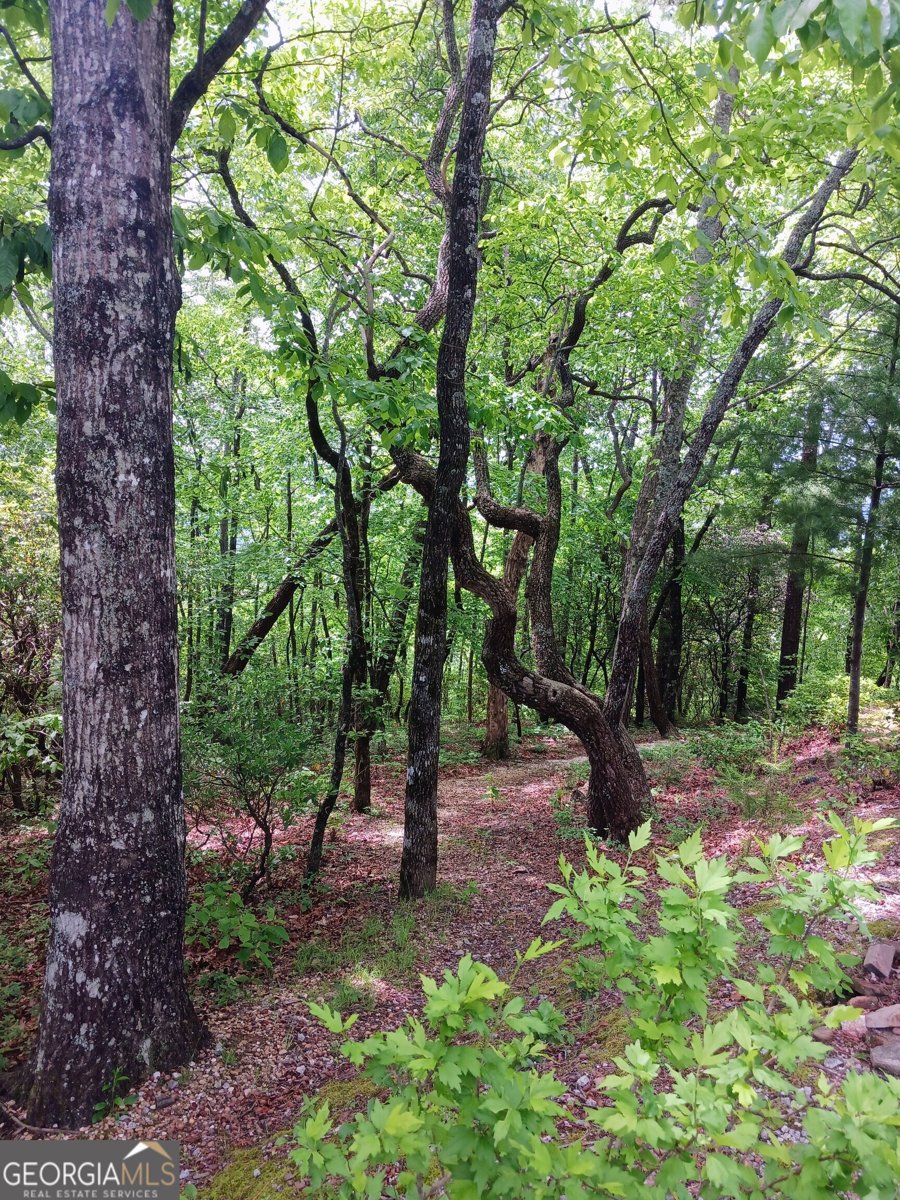 548 Confederate Drive Clayton - Photo 37
