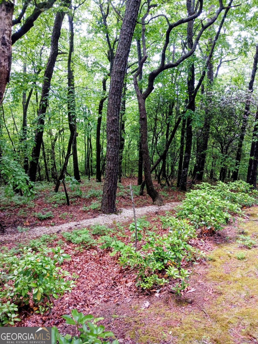 548 Confederate Drive Clayton - Photo 38