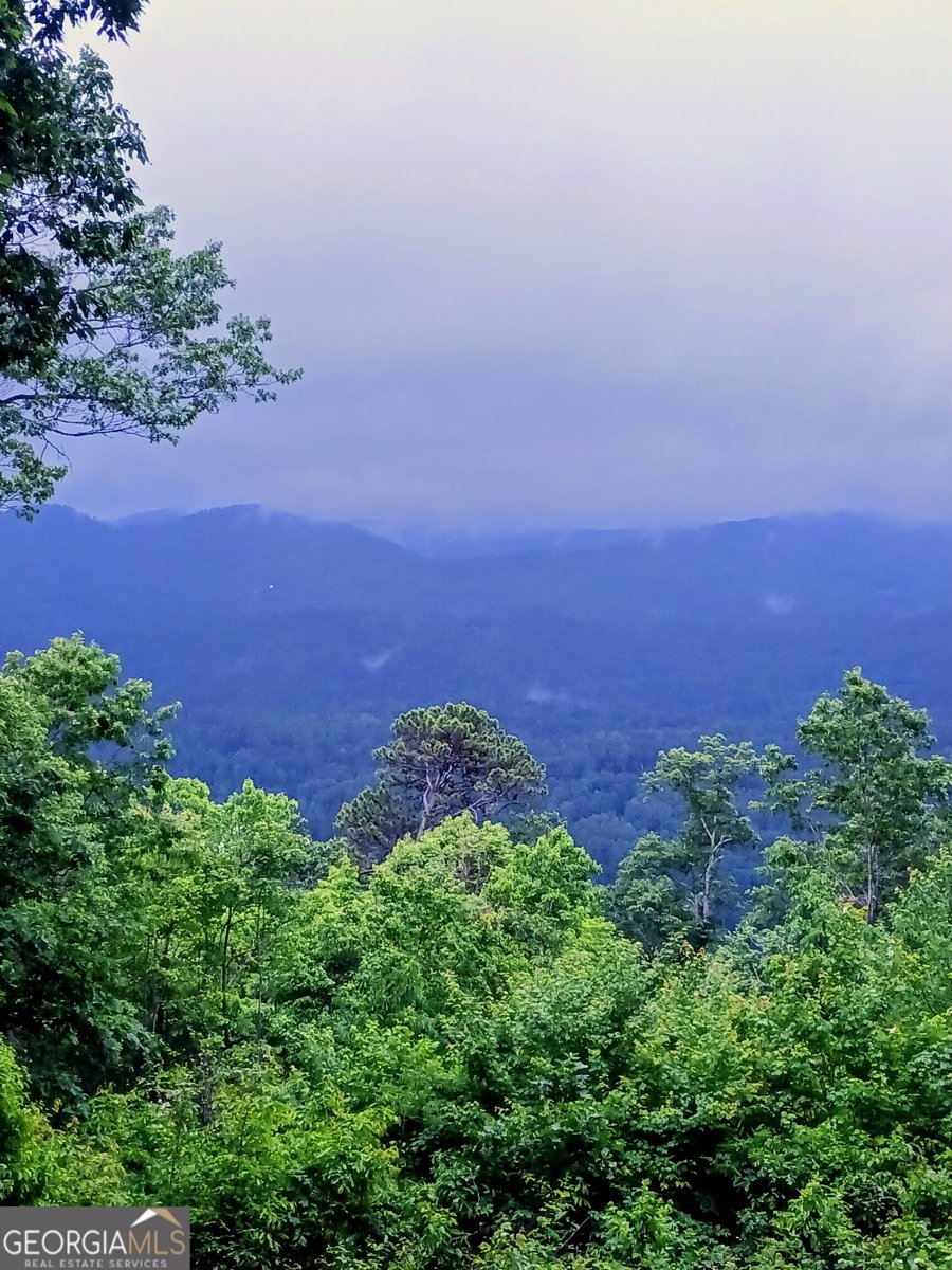 548 Confederate Drive Clayton - Photo 40