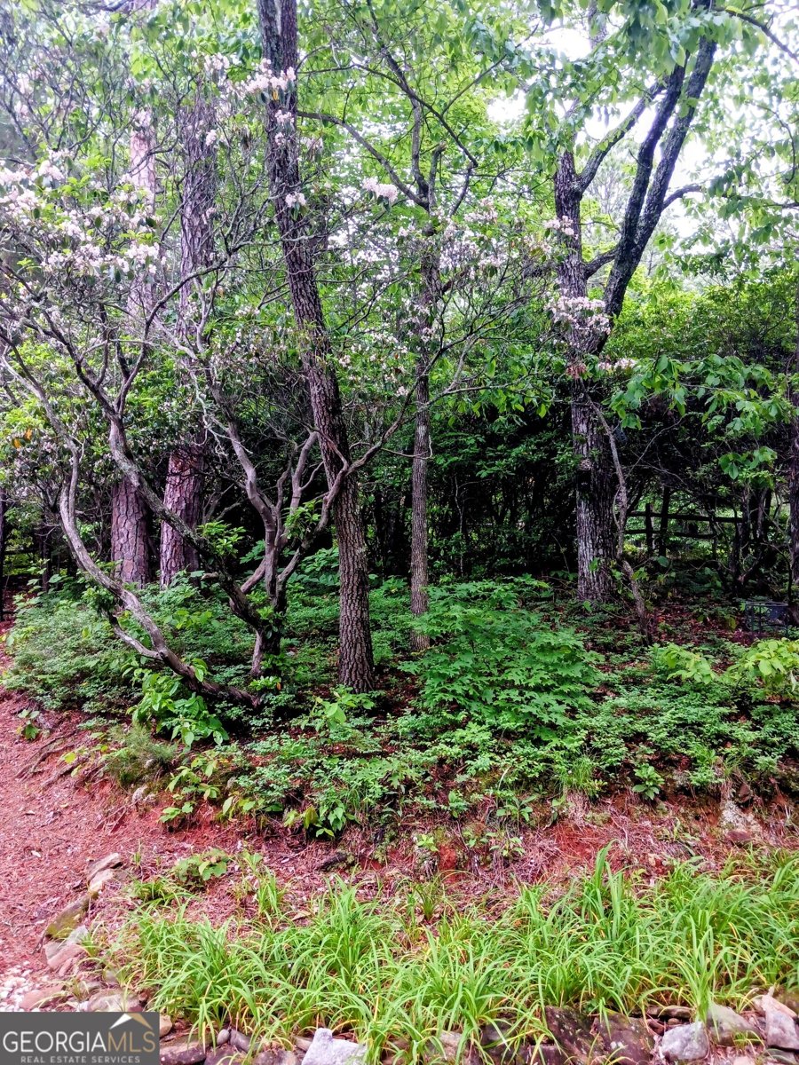 548 Confederate Drive Clayton - Photo 42
