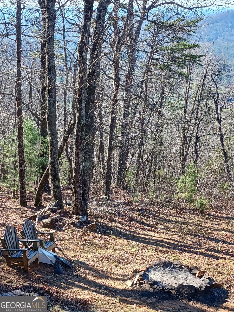 548 Confederate Drive Clayton - Photo 43
