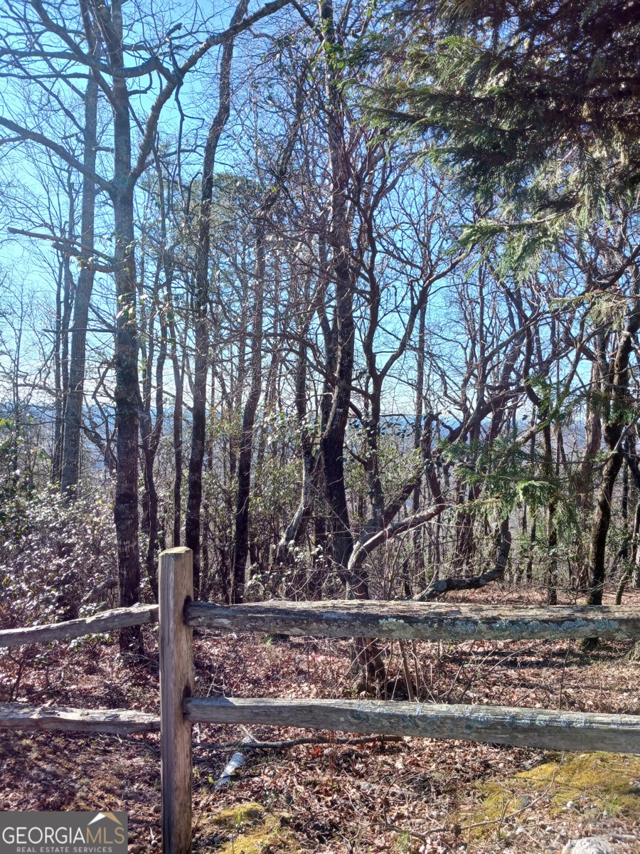 548 Confederate Drive Clayton - Photo 44