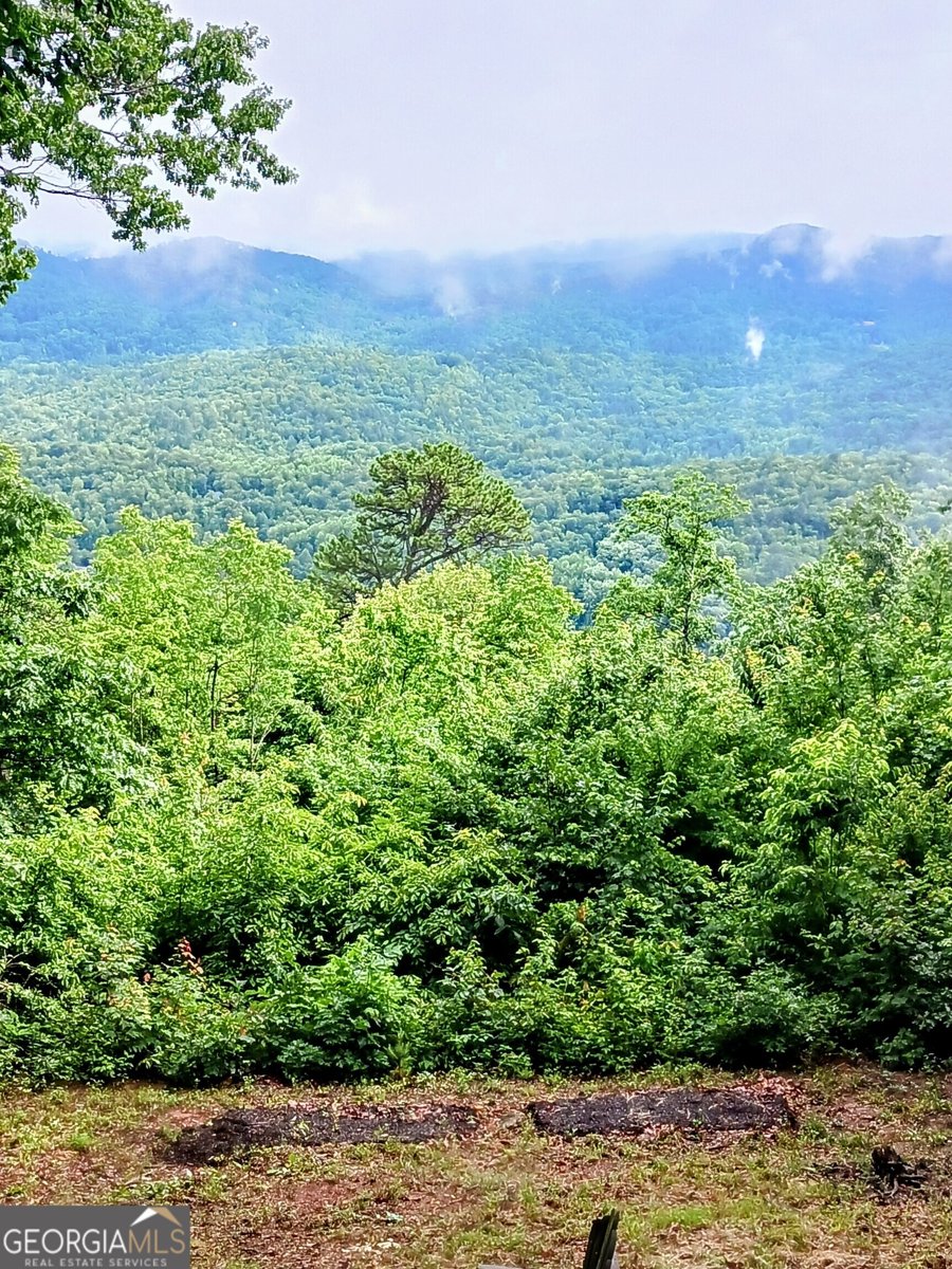548 Confederate Drive Clayton - Photo 49