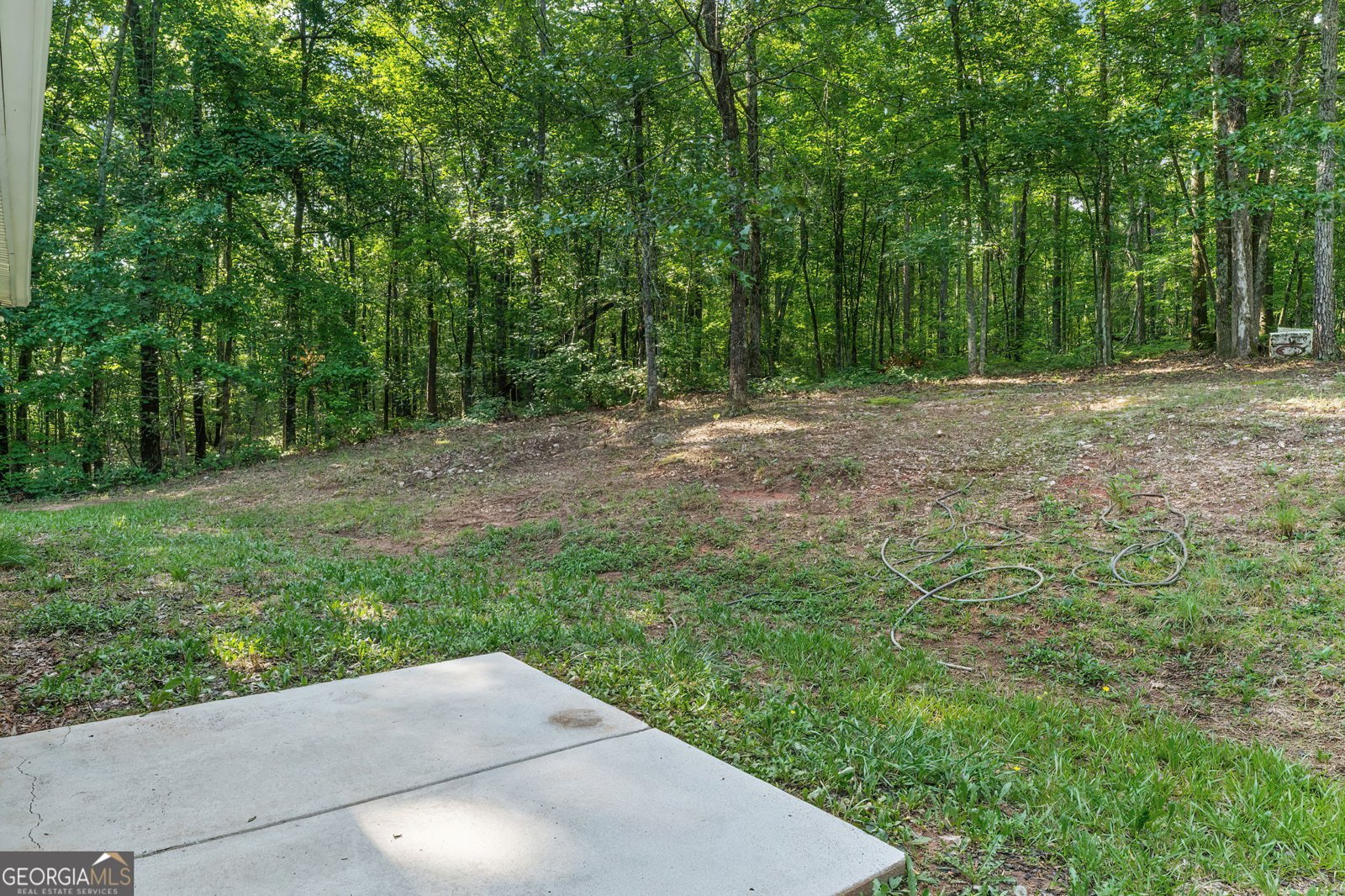 2430 Highway 85 Senoia - Photo 35