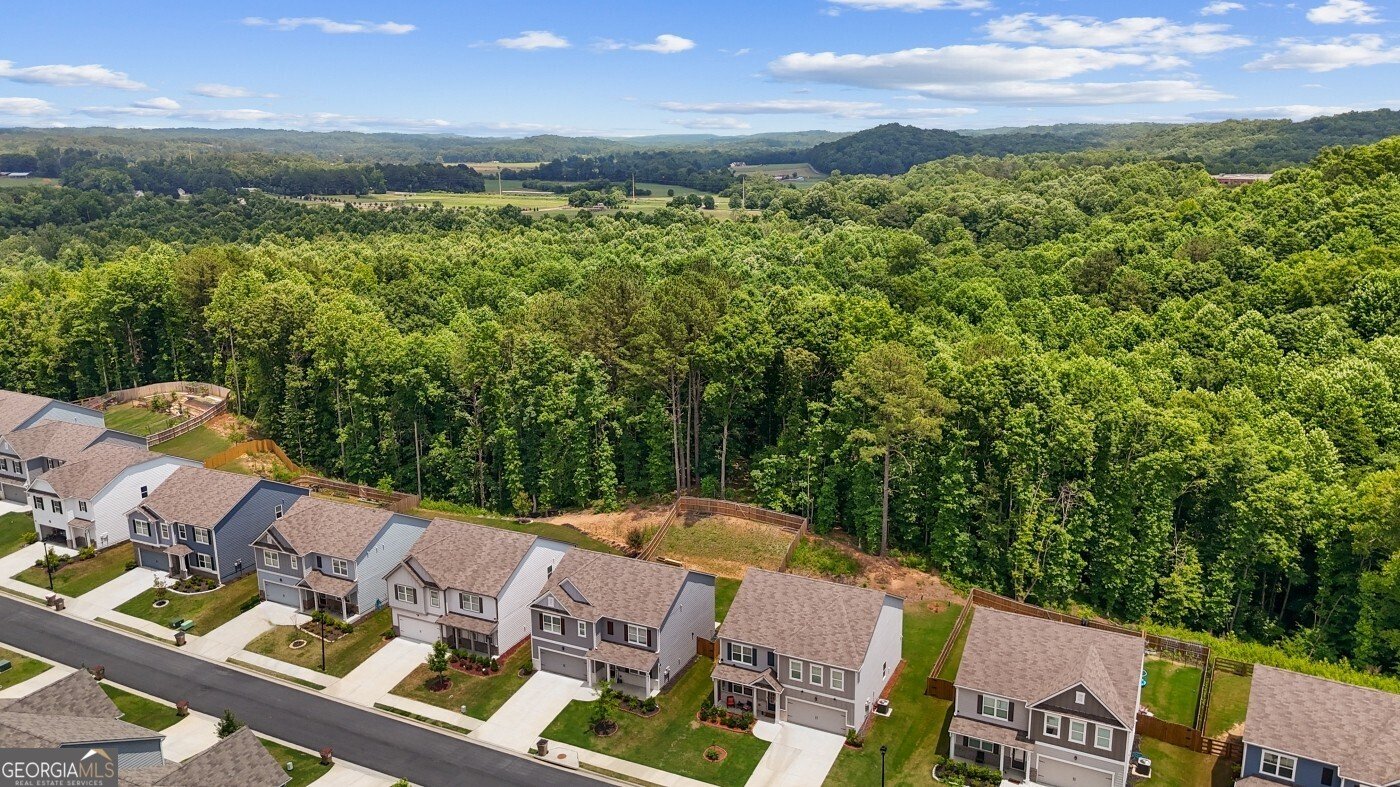 330 Shadwood Place Dawsonville - Photo 41