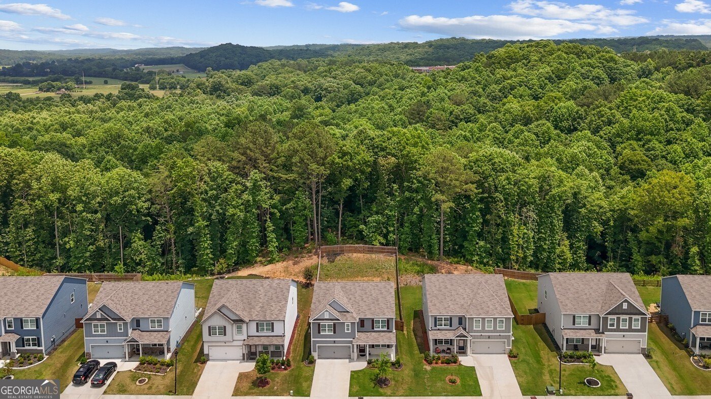 330 Shadwood Place Dawsonville - Photo 44
