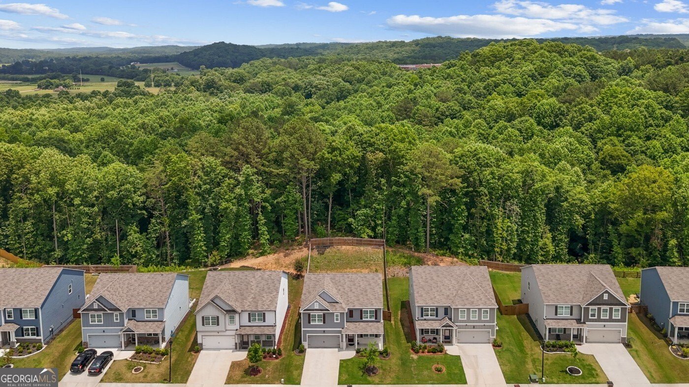 330 Shadwood Place Dawsonville - Photo 47