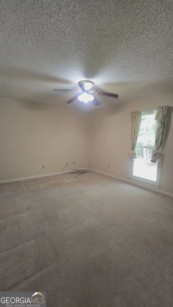 833 Mobley Bridge Road Hogansville - Photo 11