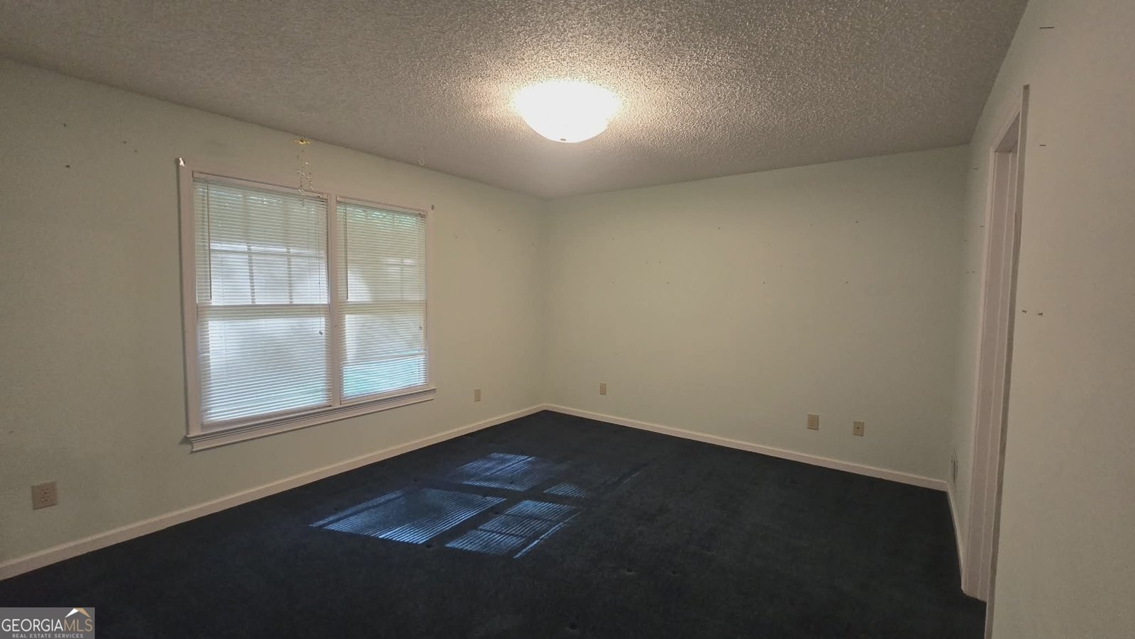 833 Mobley Bridge Road Hogansville - Photo 12