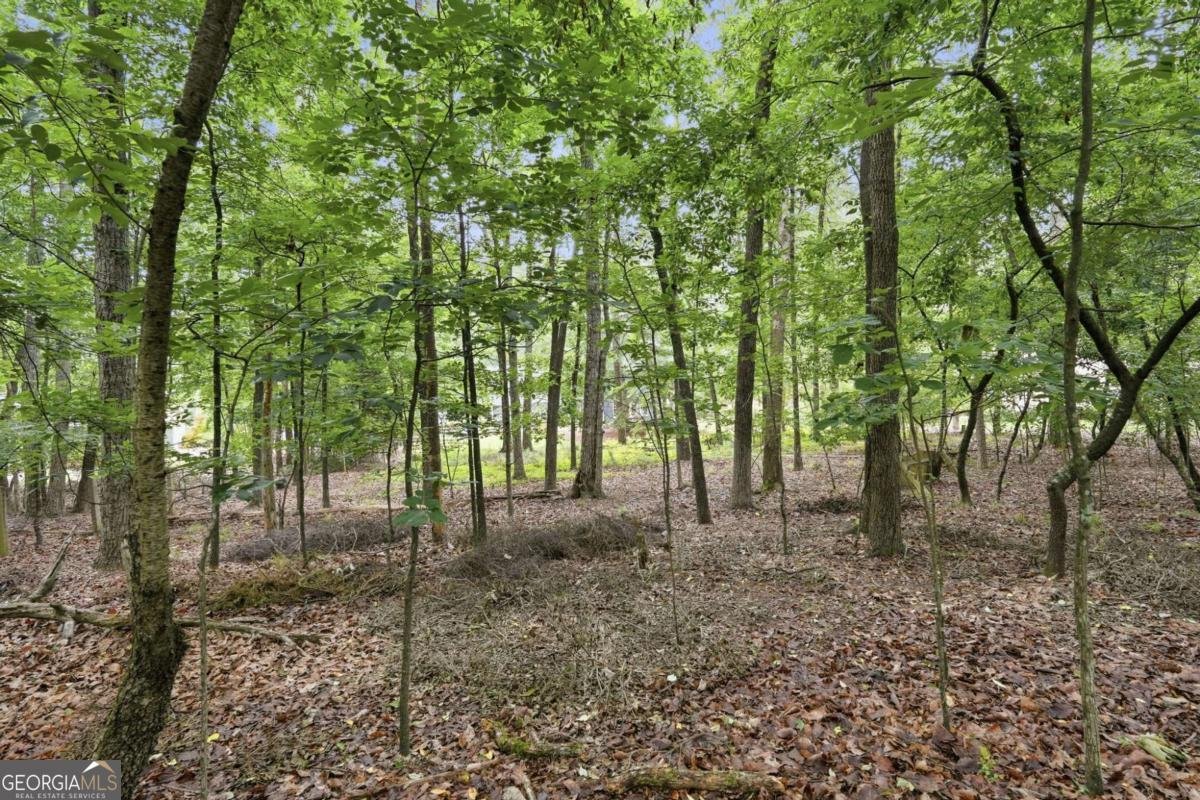 4115 Morningside Drive Cumming - Photo 43