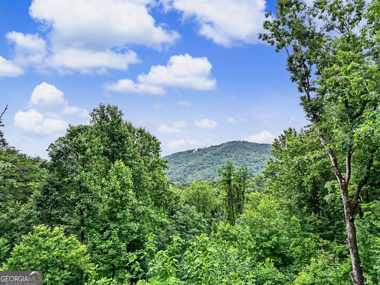 741 Autumn Ridge Drive Clayton - Photo 54
