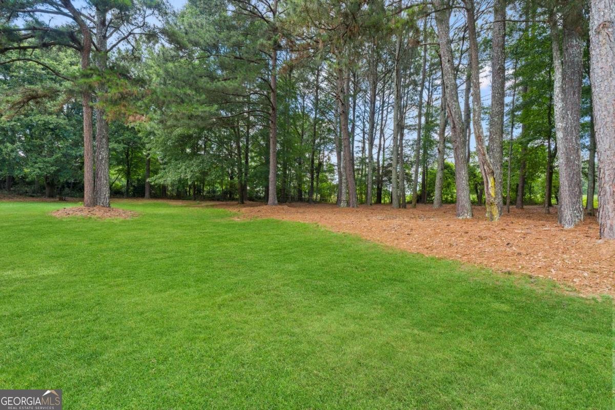 517 Annslee Lane Loganville - Photo 32