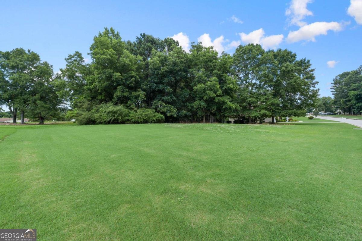 517 Annslee Lane Loganville - Photo 33