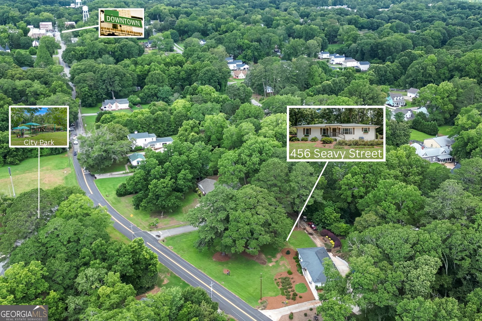 456 Seavy Street Senoia - Photo 38