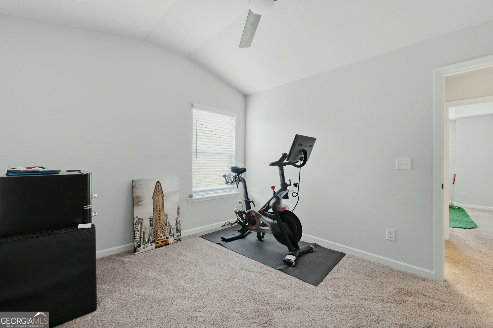 784 Lakehaven Lane Loganville - Photo 29