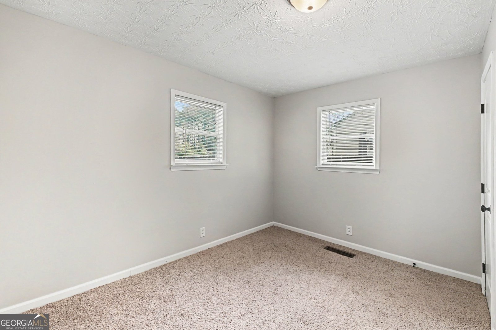237 Palmetto Road Tyrone - Photo 17