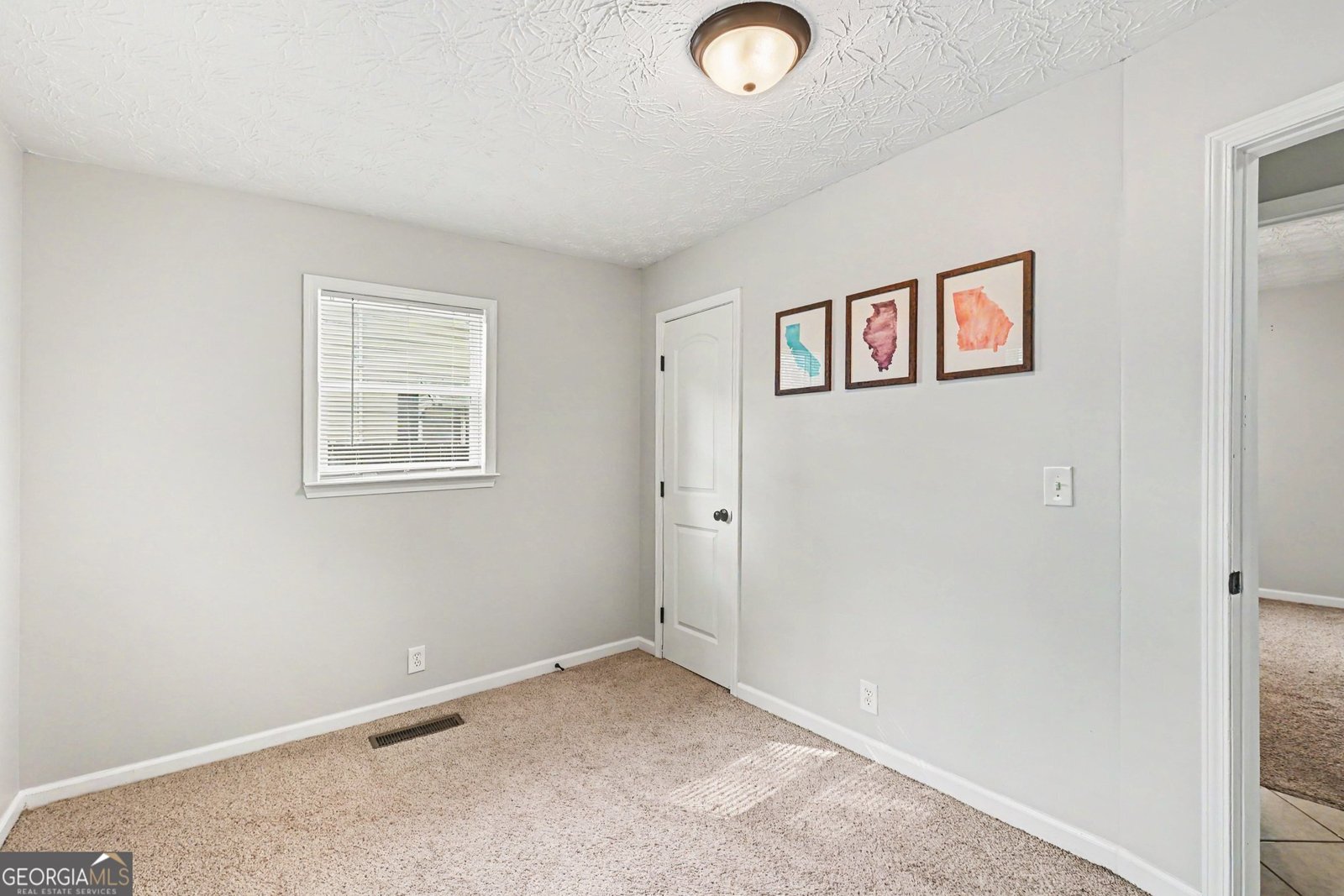 237 Palmetto Road Tyrone - Photo 18