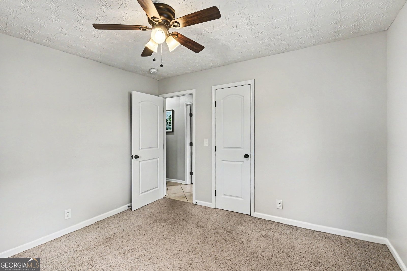 237 Palmetto Road Tyrone - Photo 20