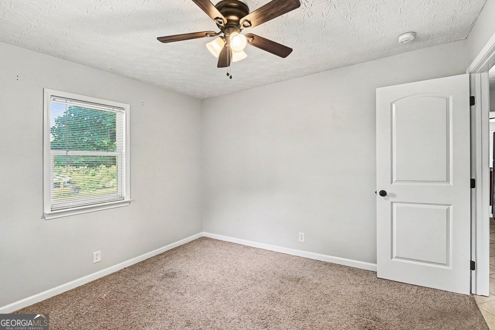 237 Palmetto Road Tyrone - Photo 21
