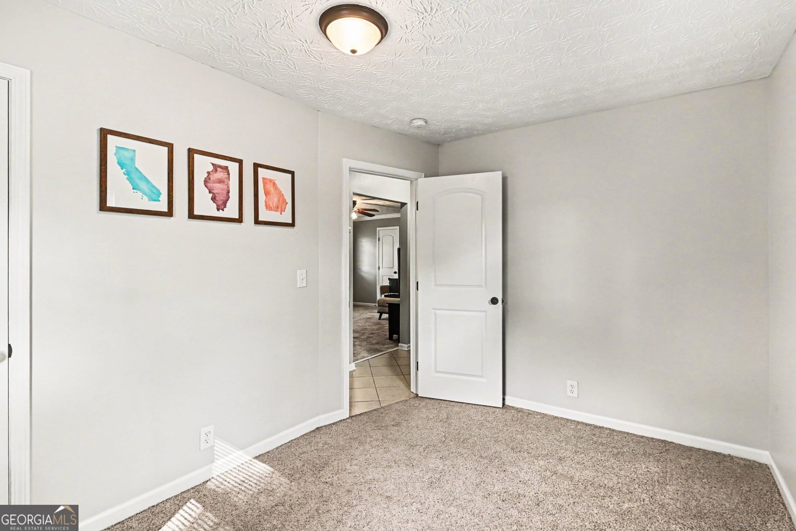 237 Palmetto Road Tyrone - Photo 22