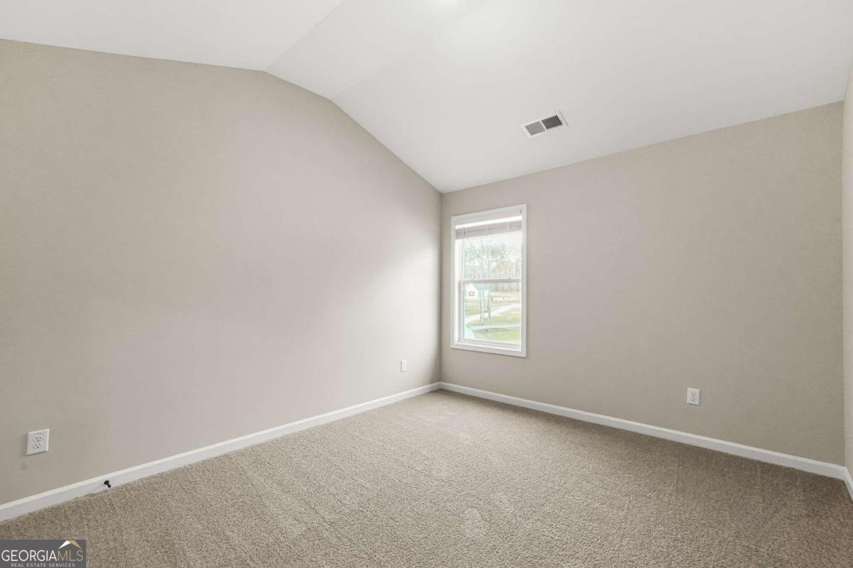 435 Paynes Lake Road Carrollton - Photo 39