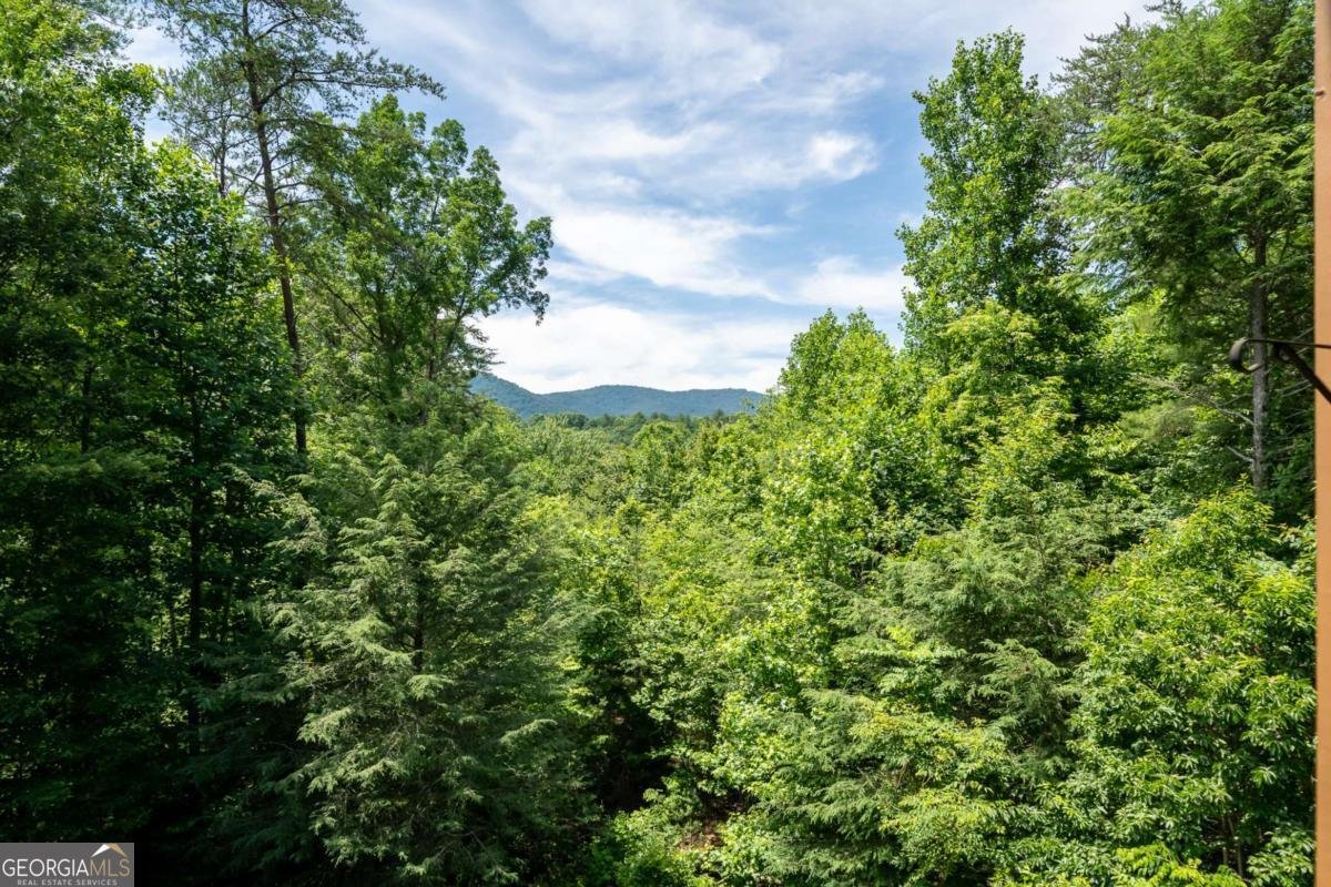 1172 Settlers Ridge Road Ellijay - Photo 40