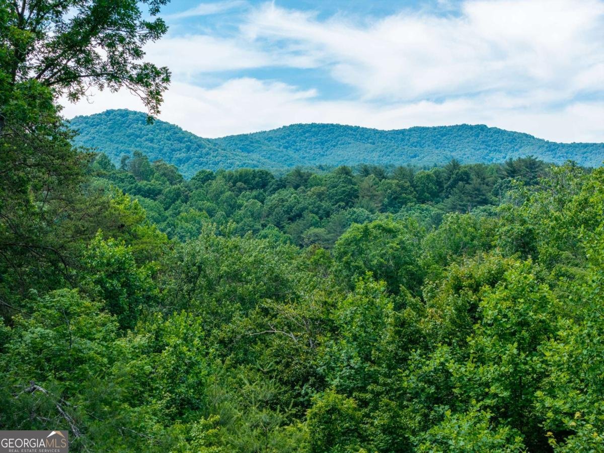 1172 Settlers Ridge Road Ellijay - Photo 53