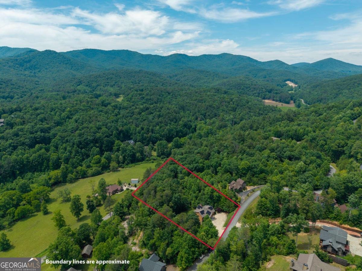 1172 Settlers Ridge Road Ellijay - Photo 54
