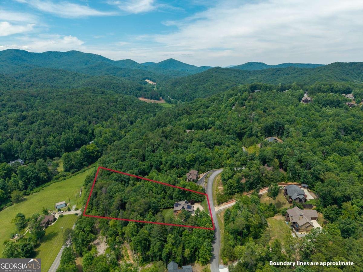 1172 Settlers Ridge Road Ellijay - Photo 55