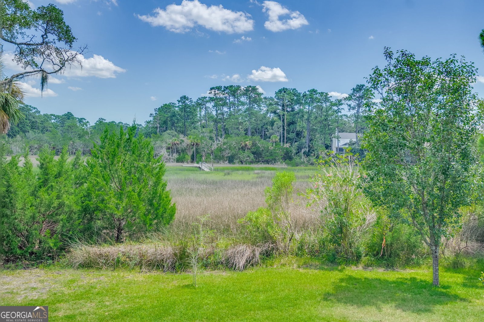 1 Cedar View Drive Savannah - Photo 45