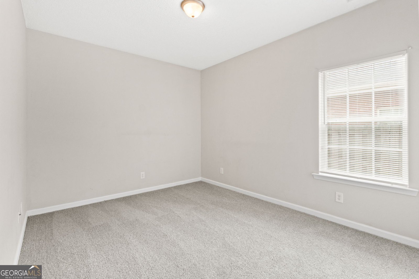 424 Buckboard Lane Locust Grove - Photo 21