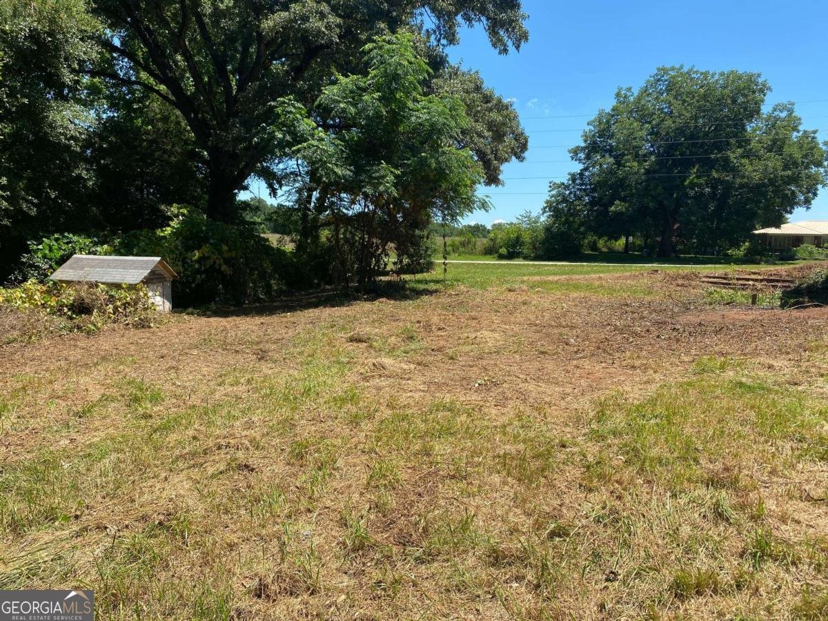2281 Fork Creek Road Bowman - Photo 10