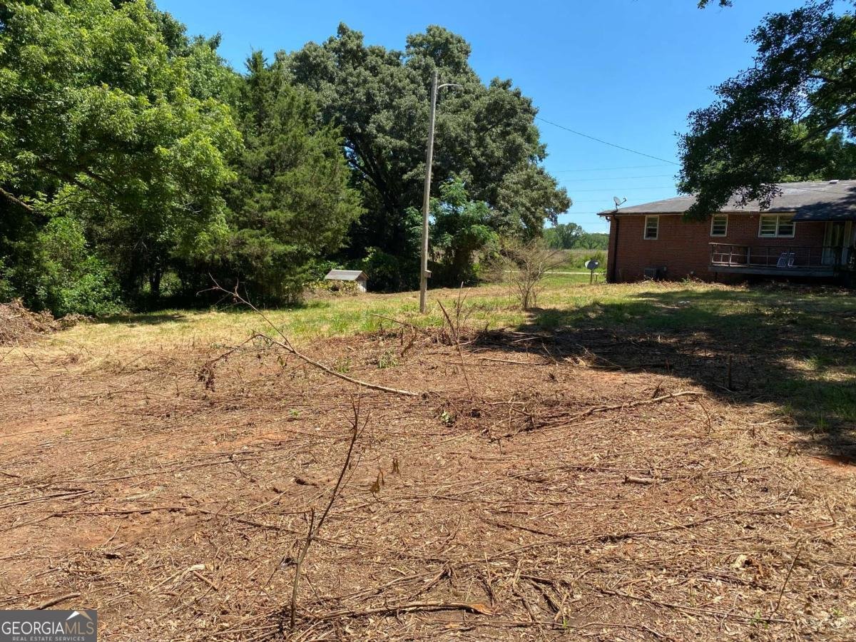 2281 Fork Creek Road Bowman - Photo 20