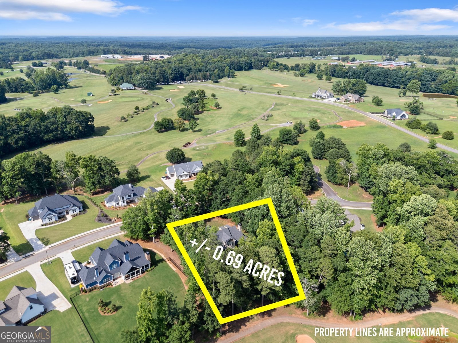 1161 Mulberry Chase Commerce - Photo 60