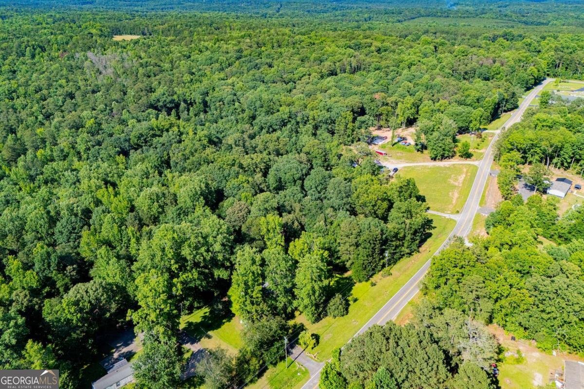 698 Goolsby Road Carrollton - Photo 58