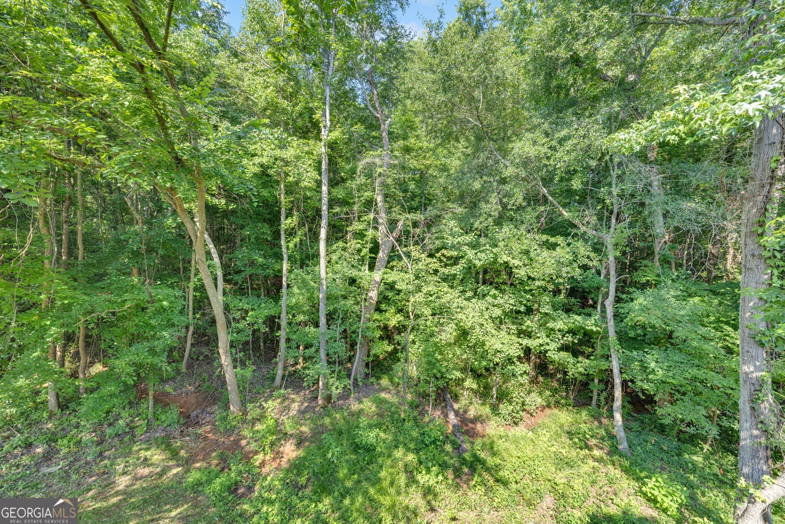 175 River North Court Covington - Photo 27