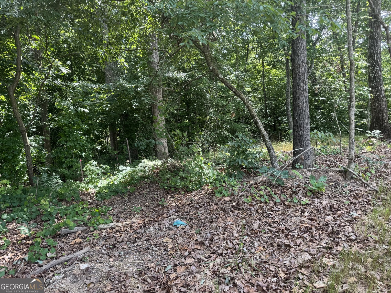 605 Whirlaway Street Jefferson - Photo 133