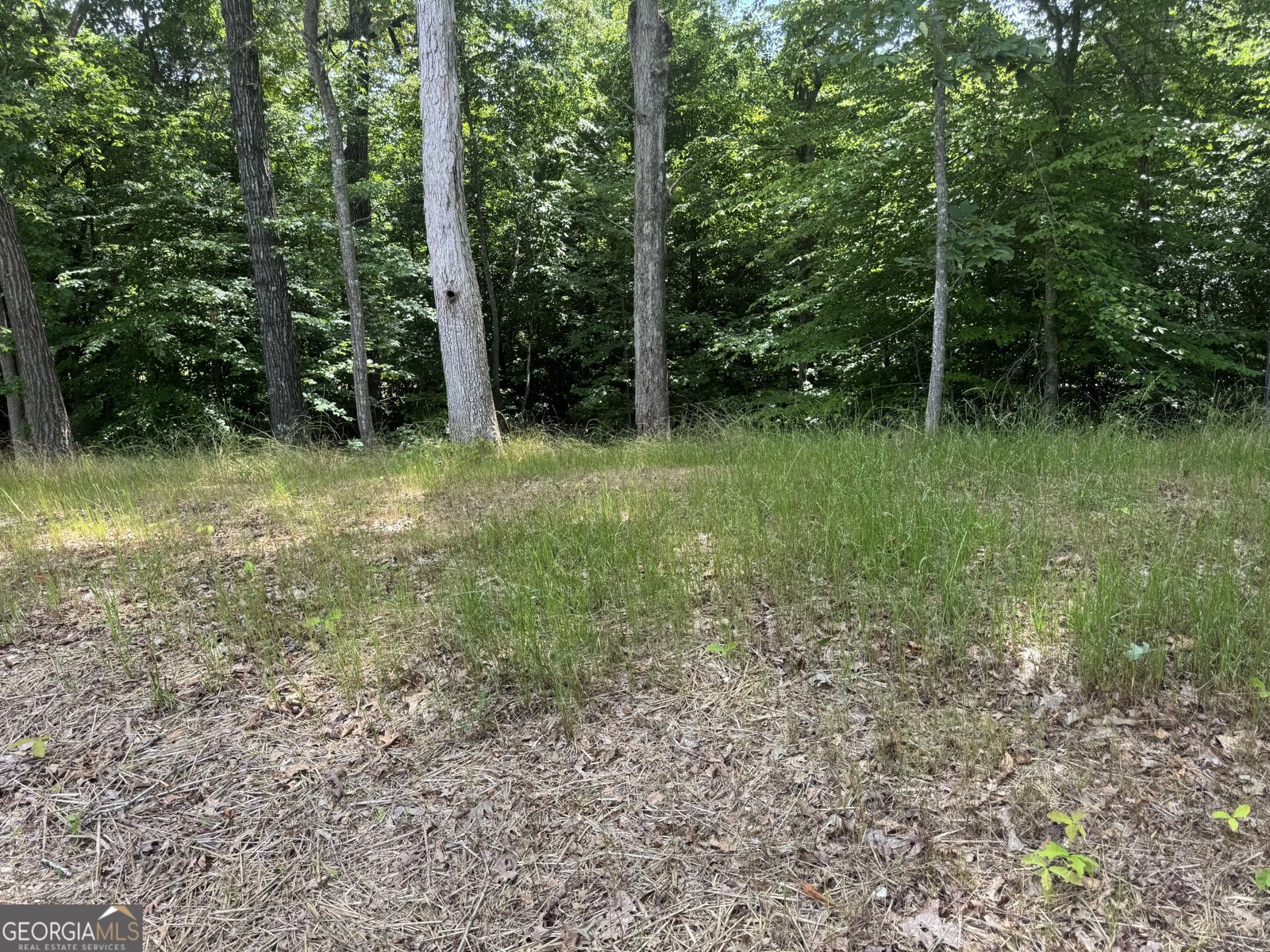 605 Whirlaway Street Jefferson - Photo 136
