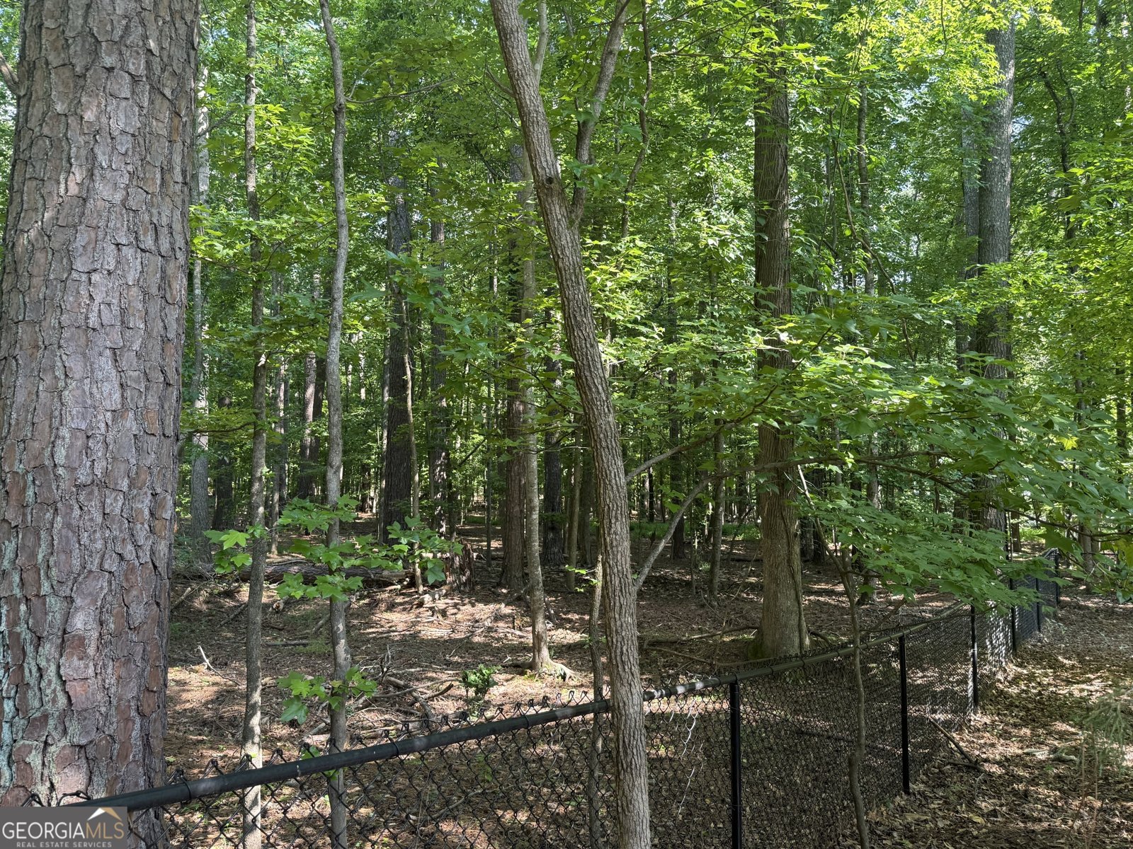 110 Shadowood Lane Peachtree City - Photo 41