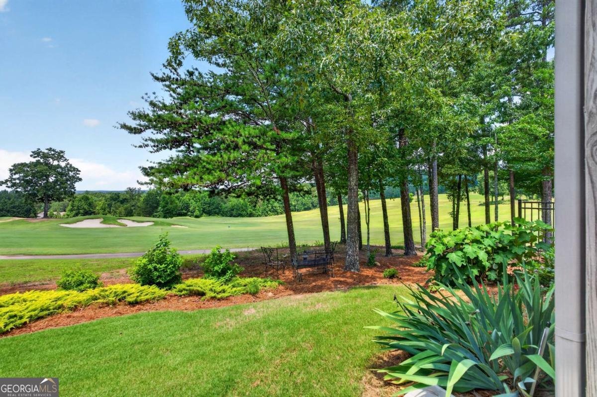 224 Misty View Drive Canton - Photo 50