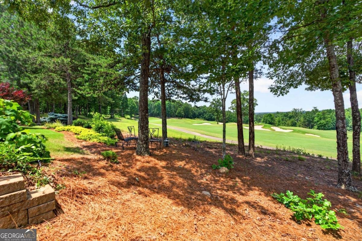 224 Misty View Drive Canton - Photo 52