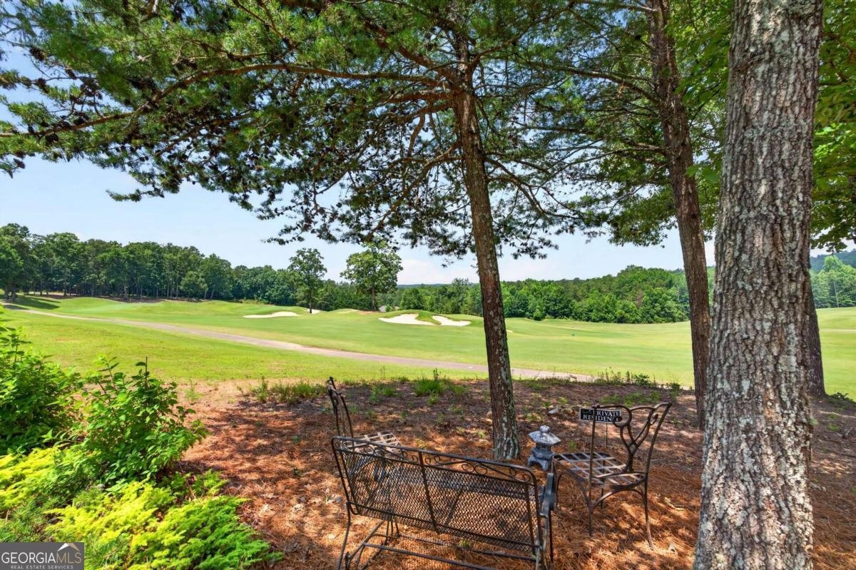 224 Misty View Drive Canton - Photo 53