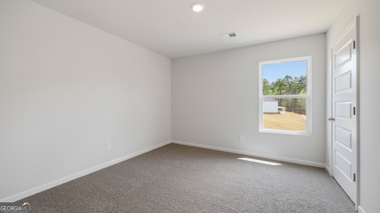 621 Great Salt Lane Hoschton - Photo 14