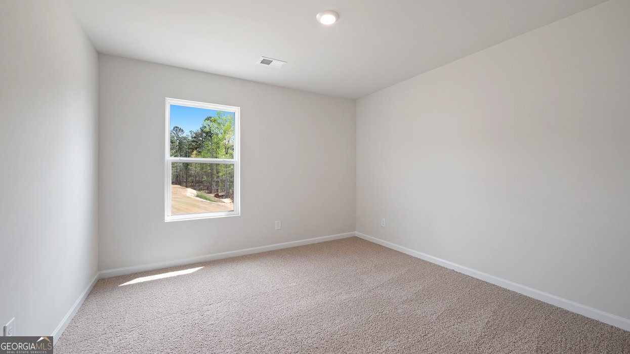 621 Great Salt Lane Hoschton - Photo 16