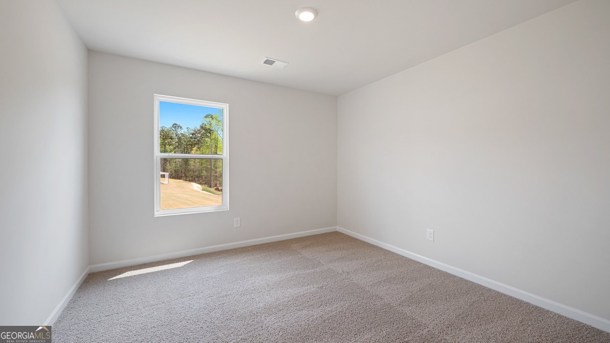 550 Great Salt Lane Hoschton - Photo 15