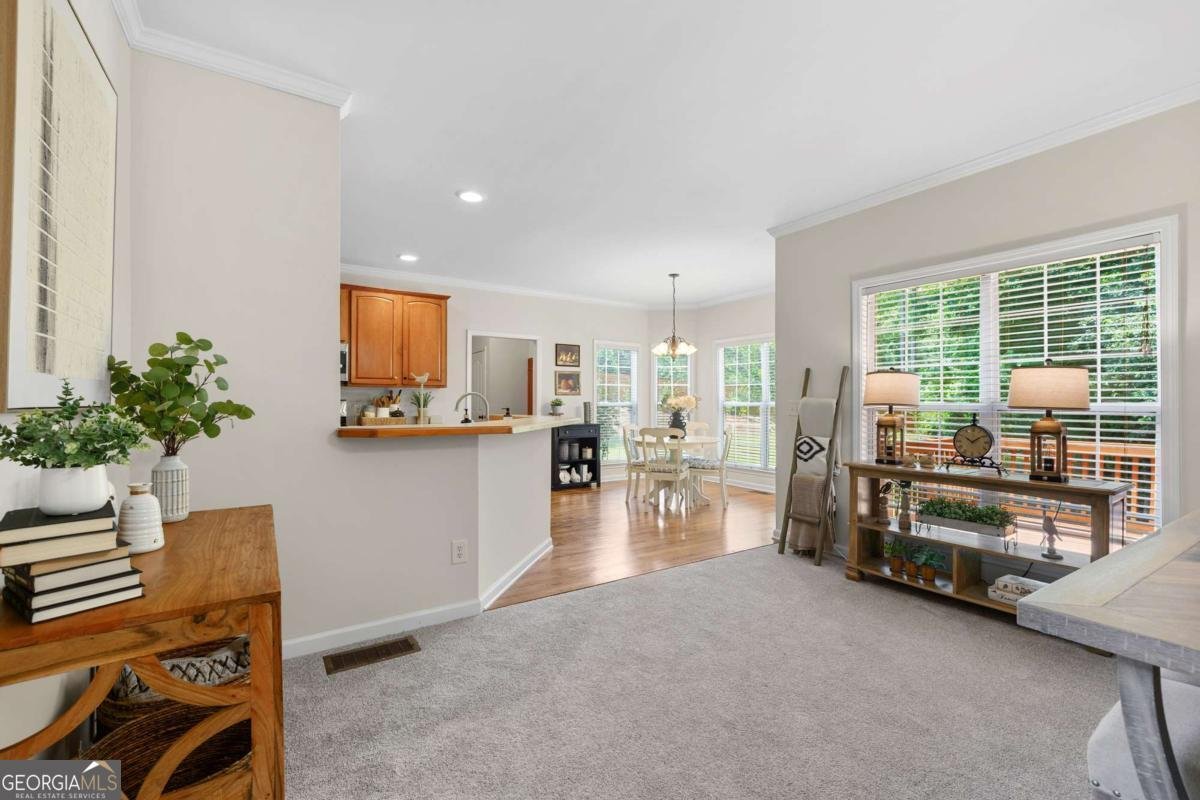 250 Ryans Court Sharpsburg - Photo 18
