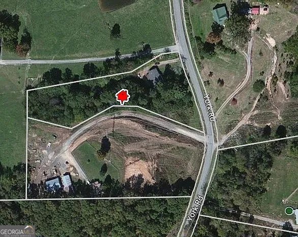 1036 York Road La Fayette - Photo 7