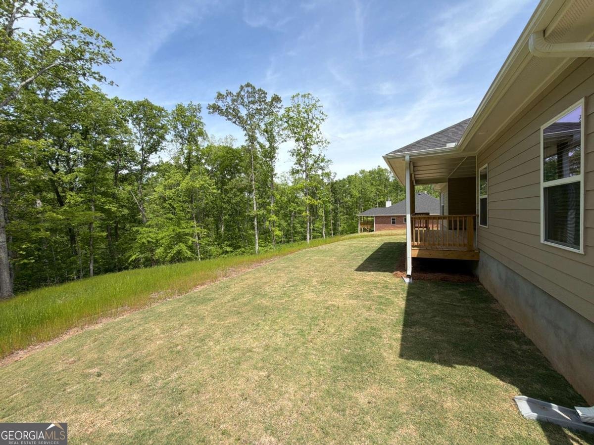 3360 Trevi Trail Douglasville - Photo 40