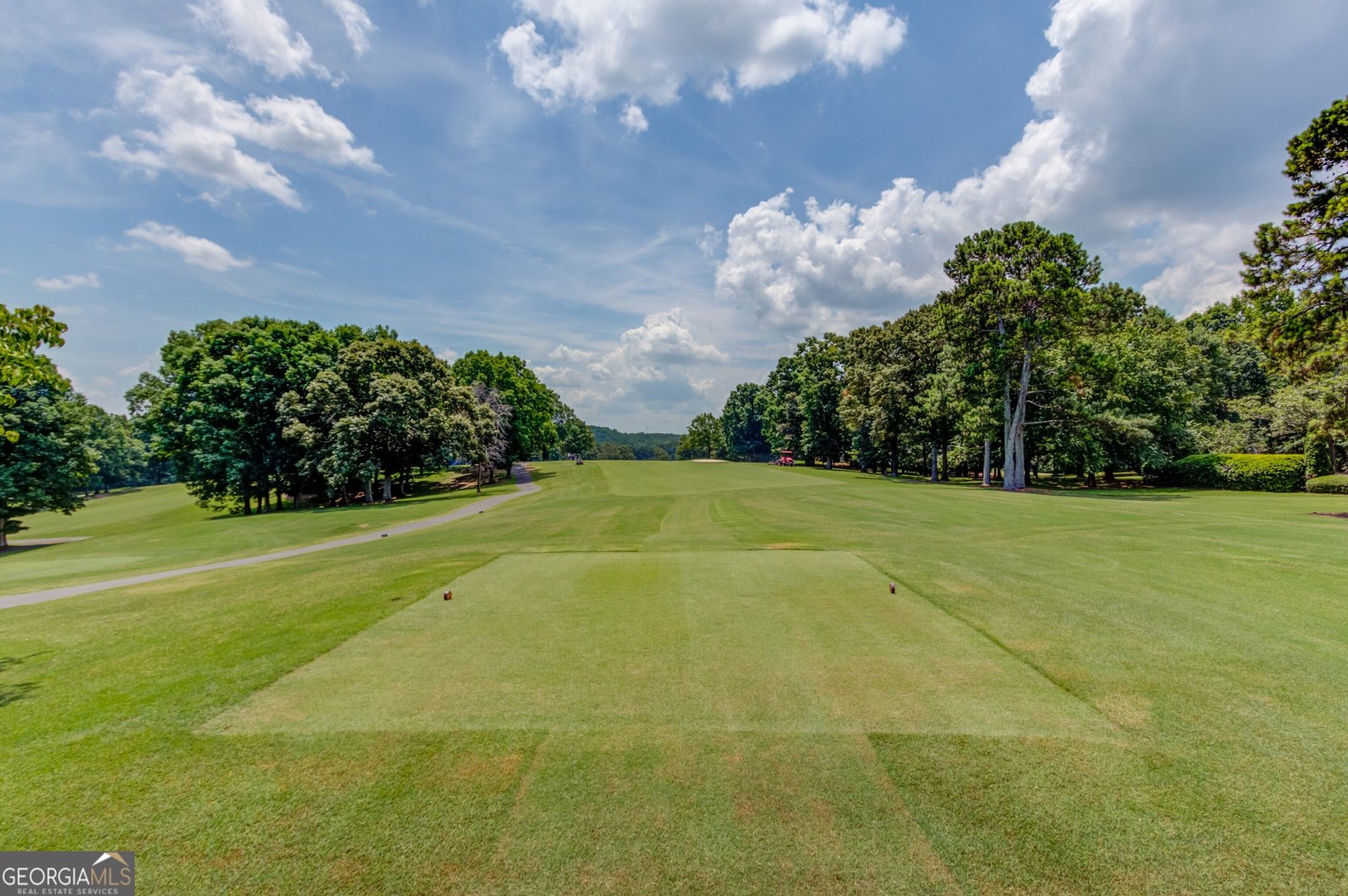 1905 Kathy Whitworth Drive Braselton - Photo 111
