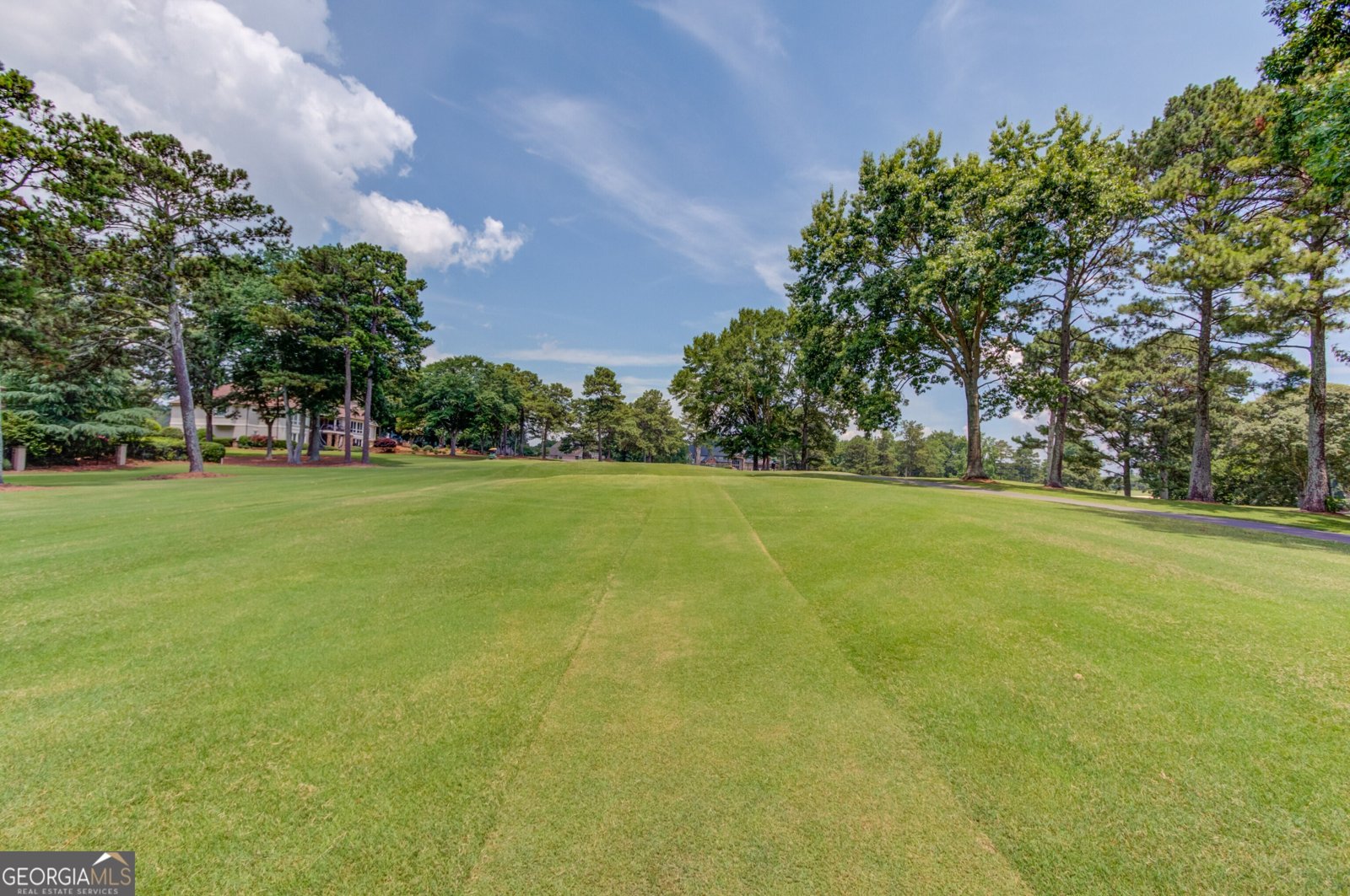 1905 Kathy Whitworth Drive Braselton - Photo 112